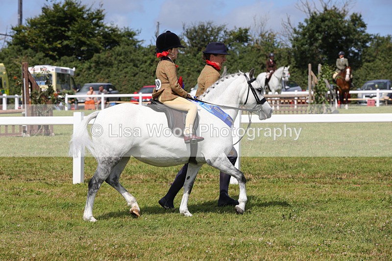 1X9A3863 - Plaited Mini Ridden Championship