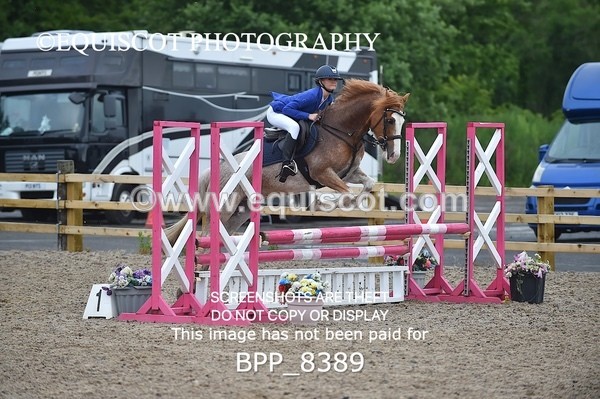 BPP_8389 - CLASS 1 British Novice / 0.80m Open