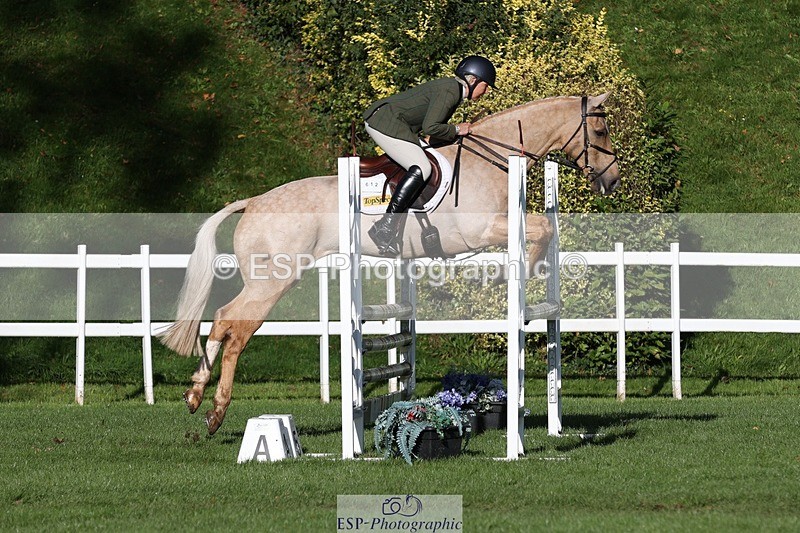 231022-104325-24697 - 612-CORRIEVIEW.MERLIN.MAGIC-Jane.Rogers-TrotUp+SJ