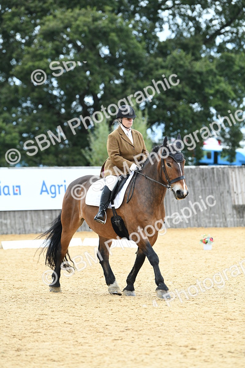 SBM_10011 - D15 Small Tour Championship Novice 24