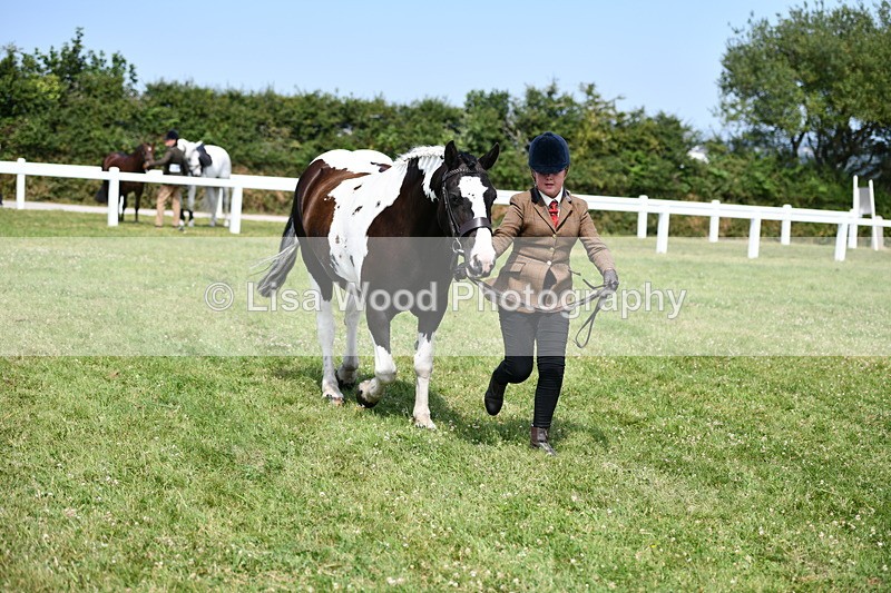 DSC_8188 - Class 67: Child Handler 11 - 16 years