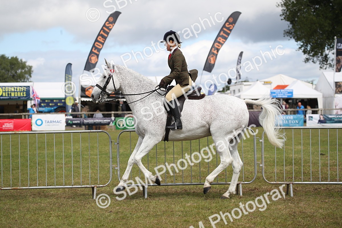 SBM_13241 - Class 95-96 - LIHS BSHA Rising Star Hack Riding Horse