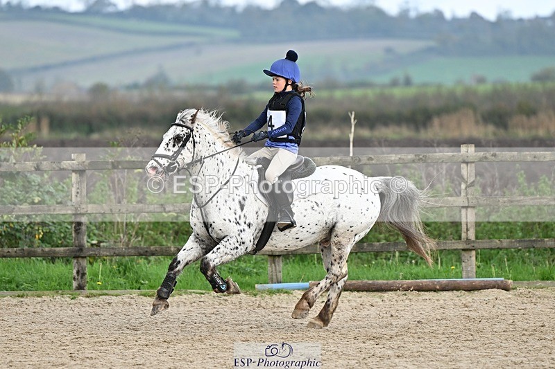 241110-133340-00871 - 60-65cm Arena Eventing