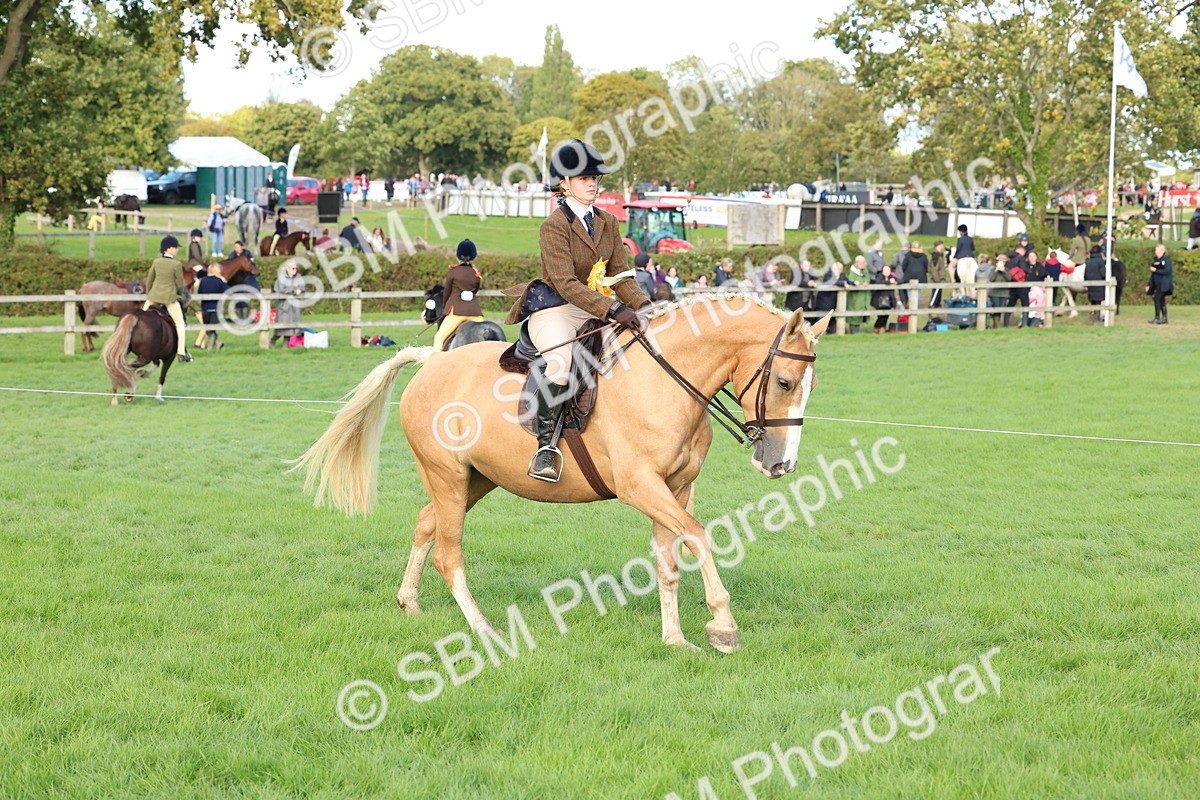SBM_50216 - S34 - Novice & Newcomers Working Hunter