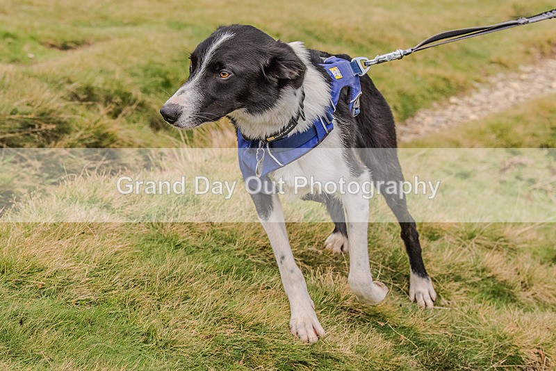 British Fell Relay-2233 - British Fell & Hill Relay Championship Braithwaite Keswick Saturday 21st October 2023
