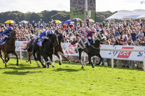 240824-Race 5-Elmonjed-9171 - Race 5 4.10pm Sky Bet Constantine Handicap