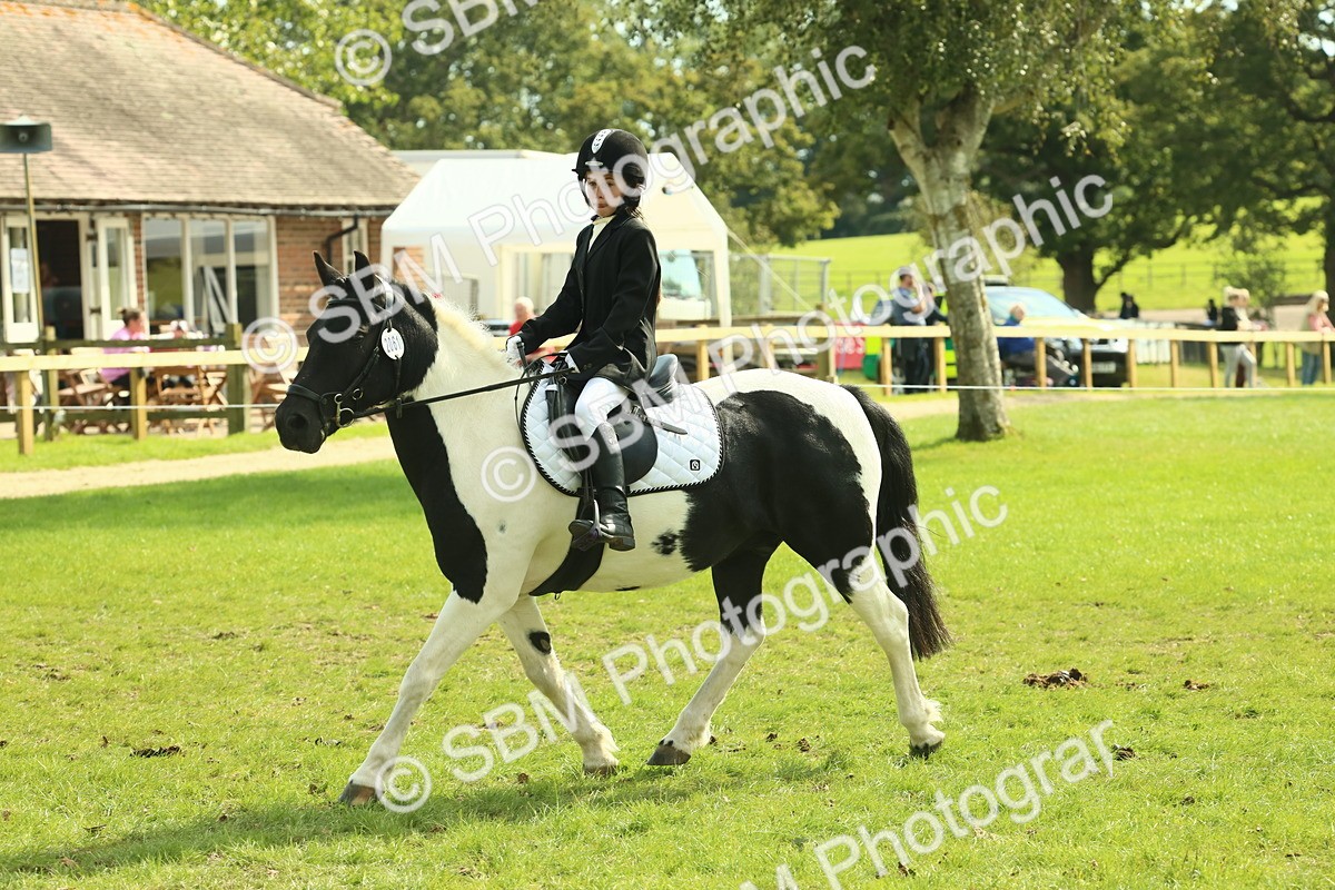 SBM_68857 - S58 - Mini Show Cob Ridden