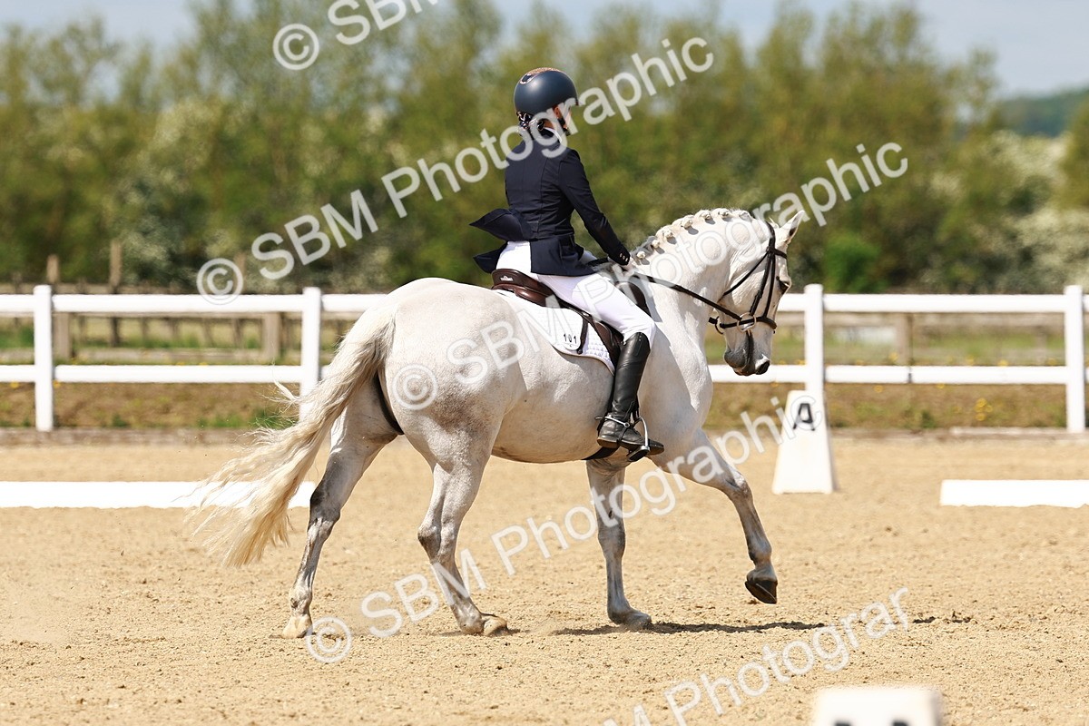 SBM_001384 - Class 8 - N5