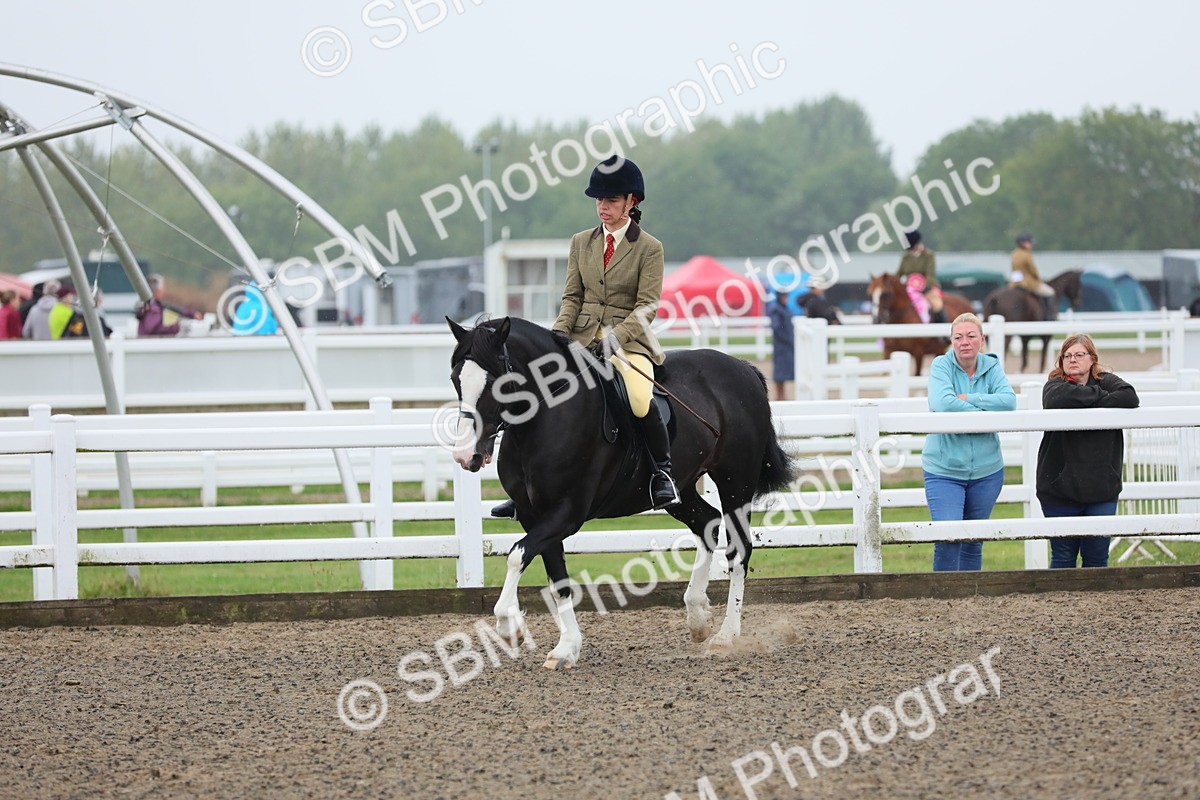 SBM_19941 - Class 801 - Ridden Veteran