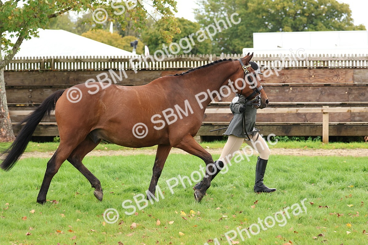 SBM_40773 - S25 -  Veteran In Hand