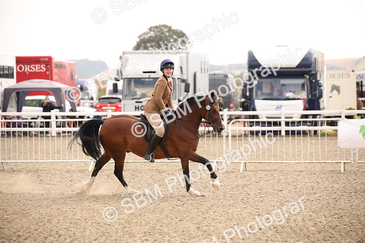 SBM_12240 - Class 405a - M&M Working Veteran 50cm (15-19)