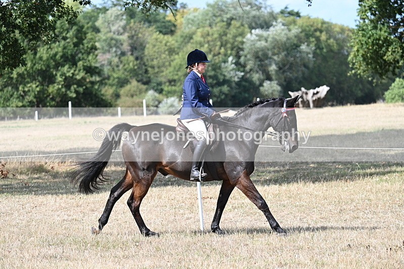 WJ7_6266 - Class 13 Ridden Veterans