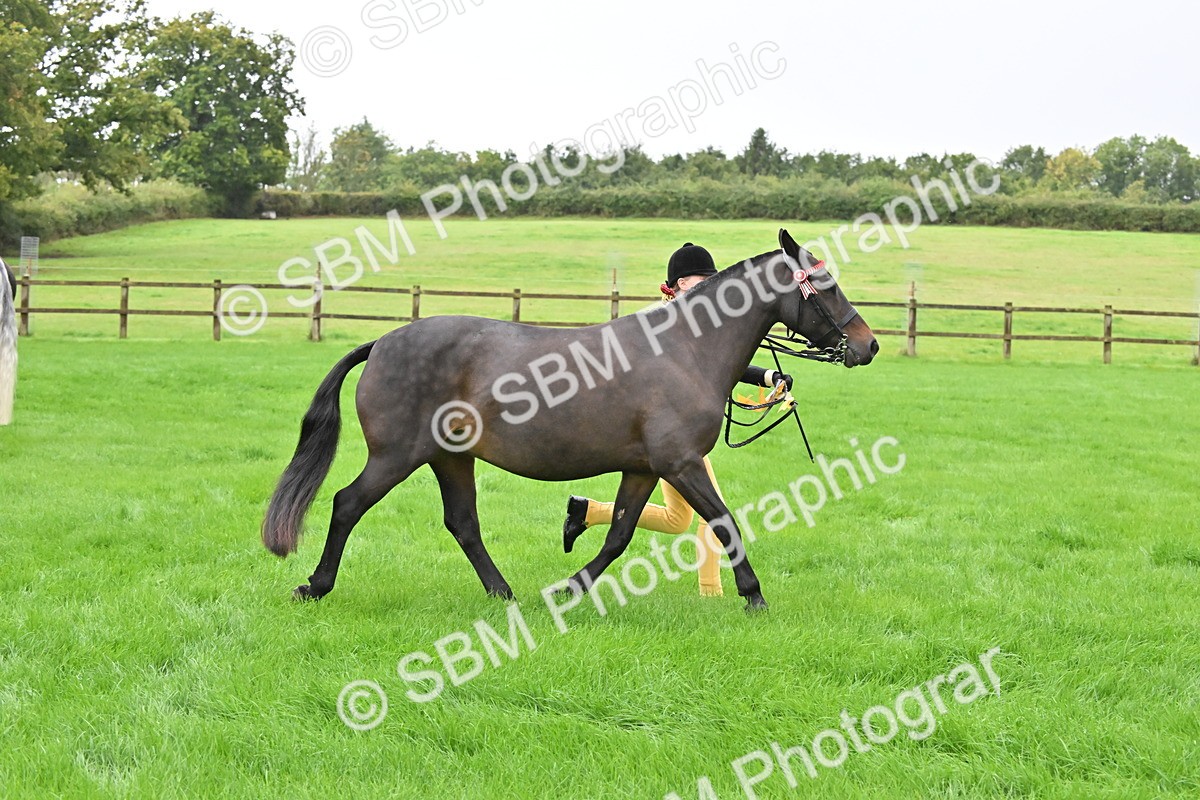 SBM_32671 - S15 - Top Turnout In Hand