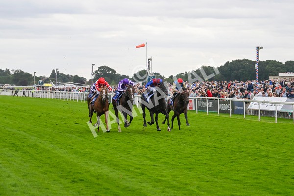210824-Race 3-Los Angeles-4866 - Race 3 3.00pm Sky Bet Great Voltigeur Stakes