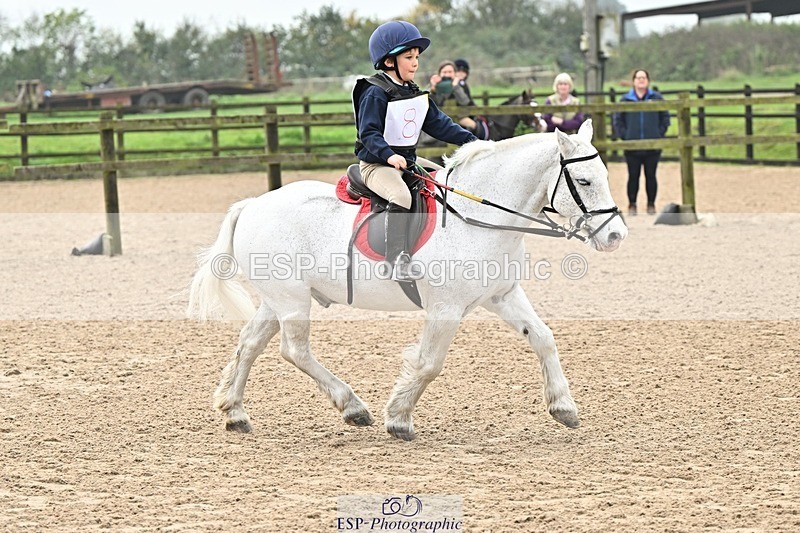 241110-102447-00293 - 40cm Showjumping