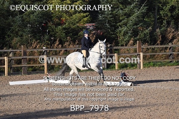 BPP_7978 - LONG ARENA