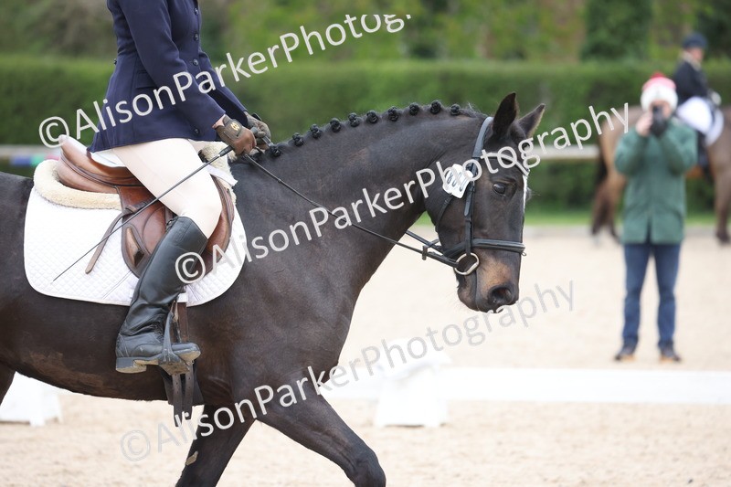 20260404-0102 - Class 2 - Intro 4