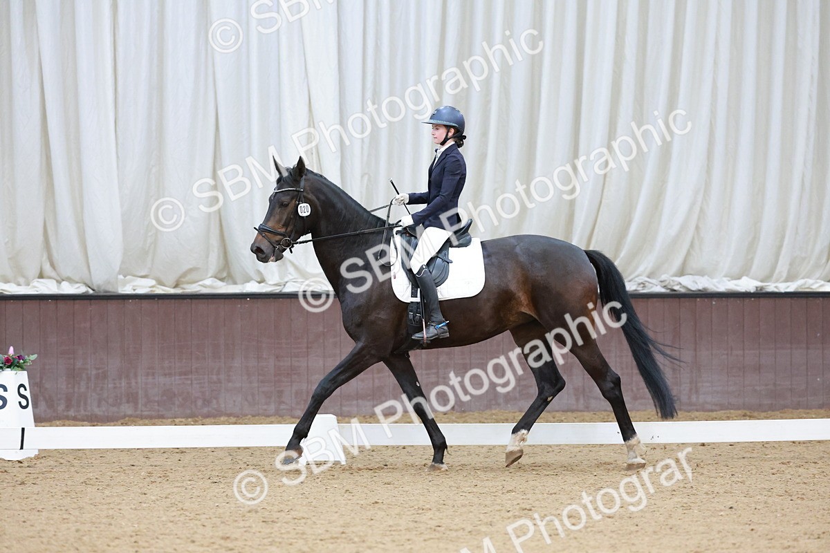 SBM_001126 - Class 6 - Novice 4