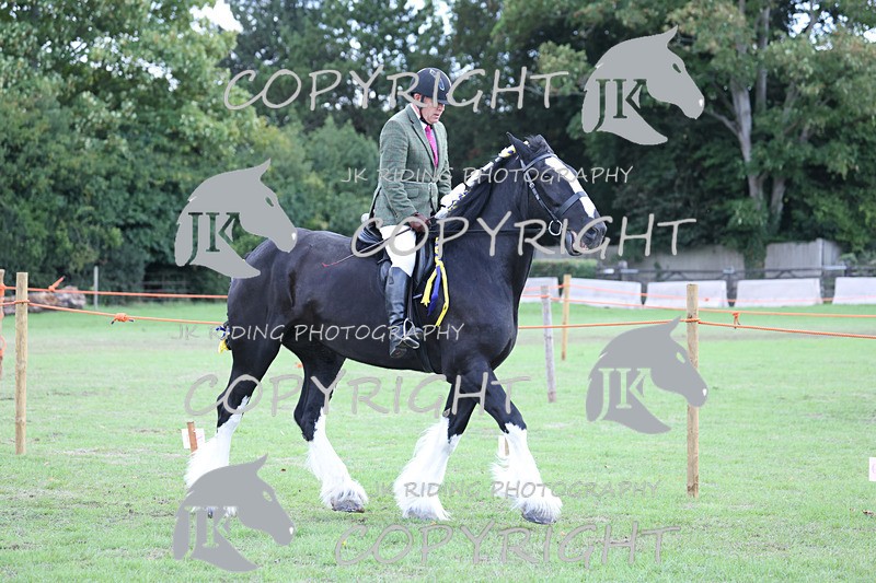 APP_3639 - Class 8 Ridden Class