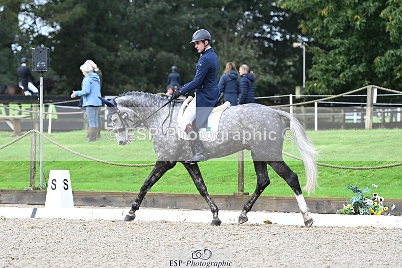 231019-103639-01618 - 032-COOLEY.ROCCO-Ben.Way-DR