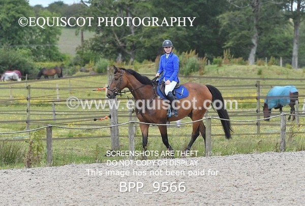 BPP_9566 - CLASS 6 Senior Newcomers/ 1.10m Open