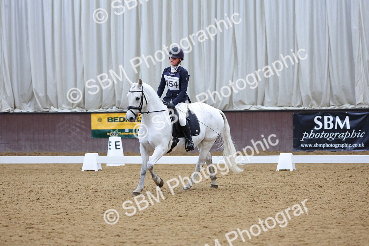 SBM_004172 - Intermediate