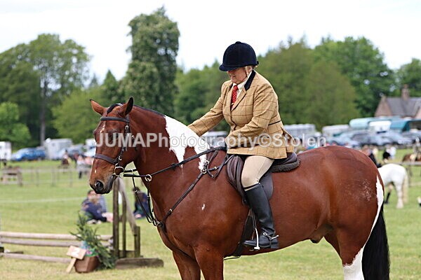 IMG_2841 - Working Hunter