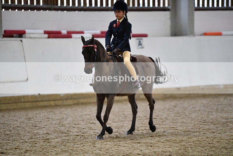 WJ5_6938 - Class 10 Childs Pony