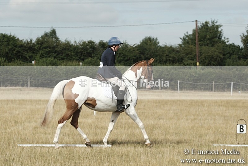 _PJP5582 - Dressage Classes BVRC Show 2018