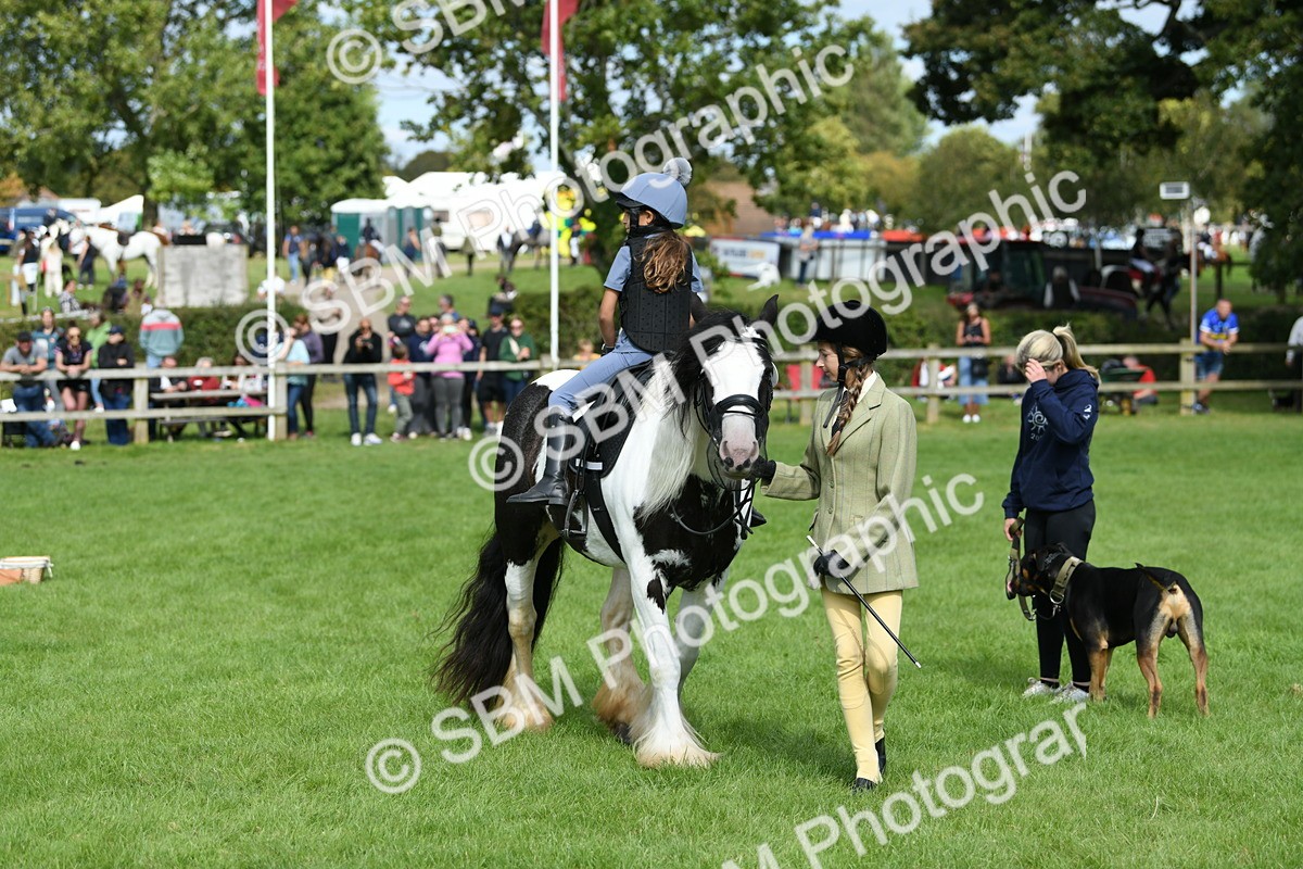 SBM_46945 - S12 - Family Horse & Pony