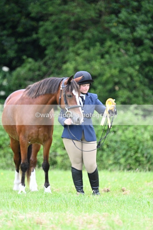WJ7_4549 - Class 14B Prettiest Mare