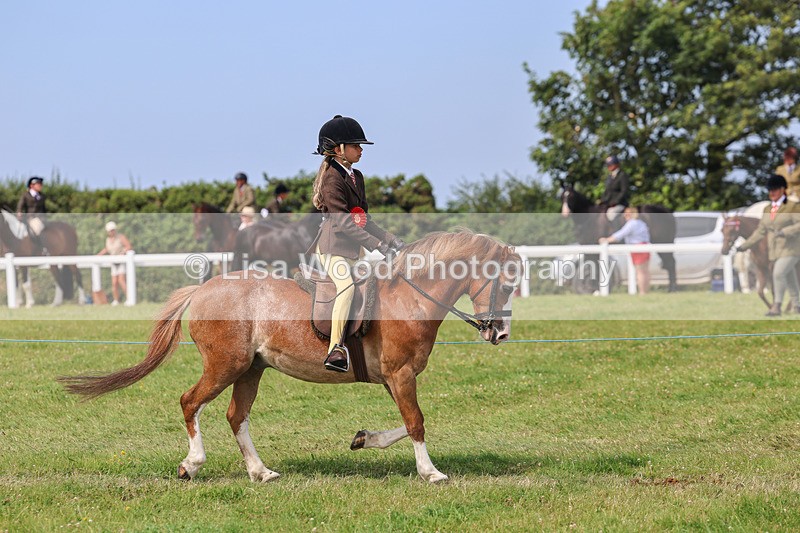 IMG_3701 - M & M Ridden Championship