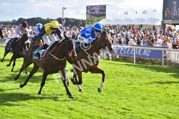 yr19082022r7-42 - Race 7 5.20pm Sky Bet Mile Stakes