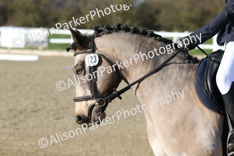 20260314-5918 - DR9 - PYO