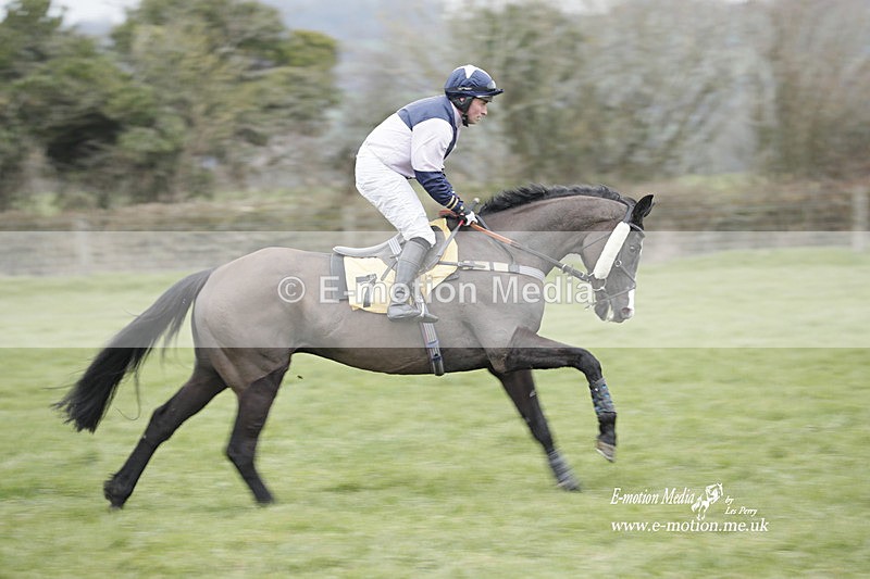 PtP 050323 421 - Blackmore & Sparkford Vale Hunt PtP - Somerset 05/03/23