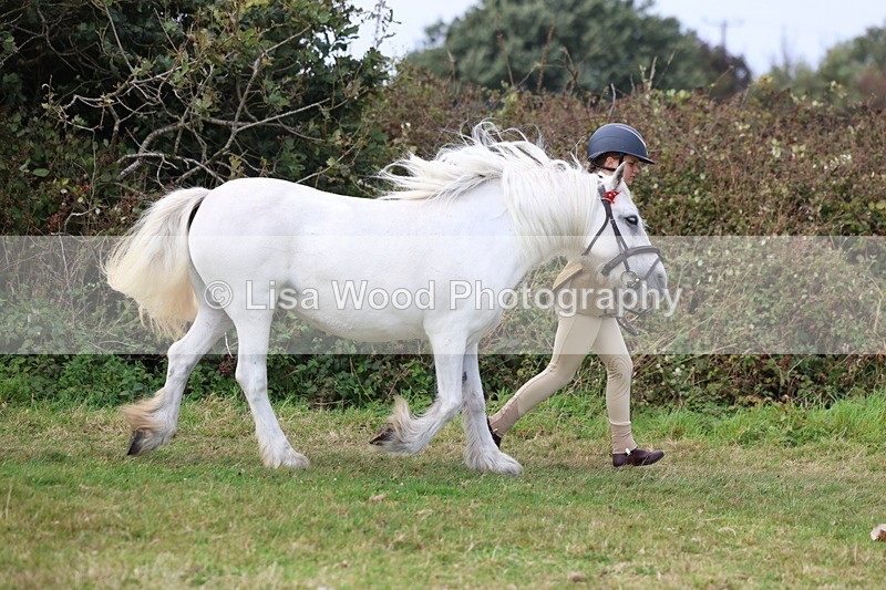 3E7A5270 - Class 18: Veteran in Hand