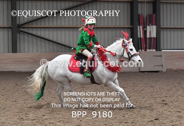 BPP_9180 - CLASS 4 50CM Novice Show Jumping