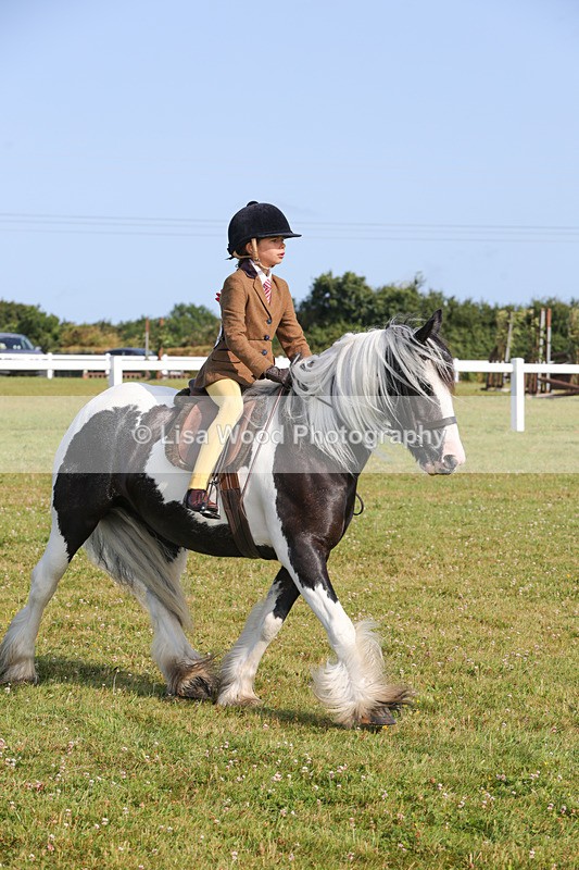 1X9A3312 - Class 28: Ridden Native/Trad Coloured Pony