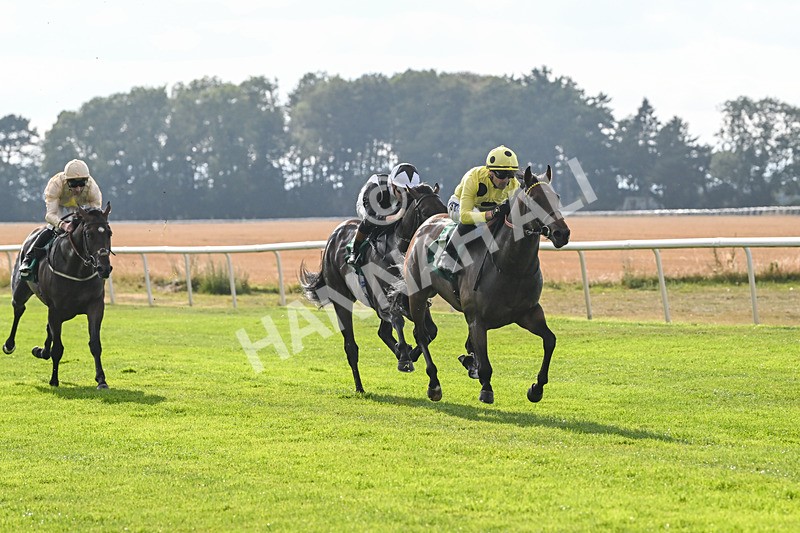 150825-Race 1-Alaminos-2366 - Race 1