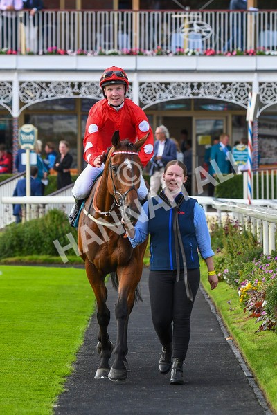 280723-Race 1-Tele Red-0094 - Race 1 5.00pm Pearly Cow Handicap