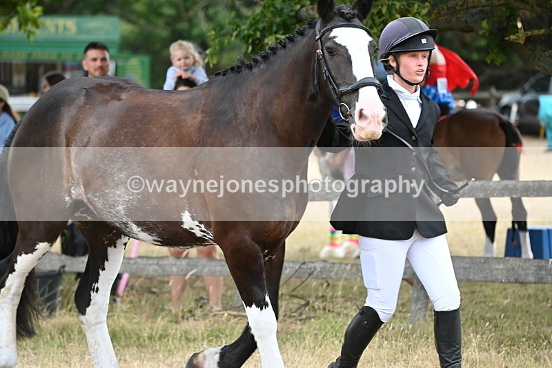 WJ6_8075 - Class 10 Coloured in Hand