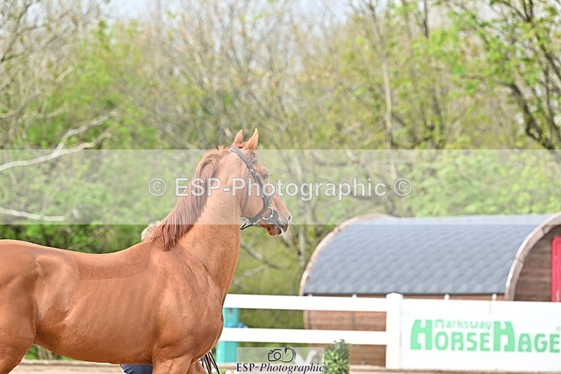 250423-165728-02283 - 4pm to 5pm