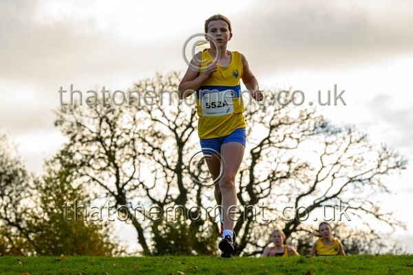 NatRel25-913210 - Young Female Set One