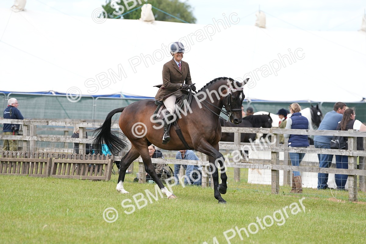 SBM_16243 - Class 105-106 - RIHS Riding Horses