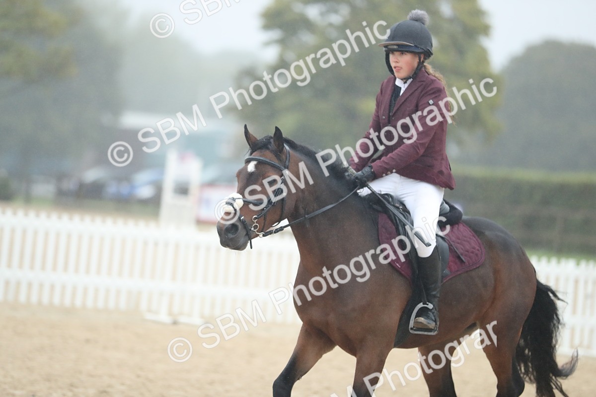 SBM_74216 - Supreme championship Junior Pony 70cm 75cm