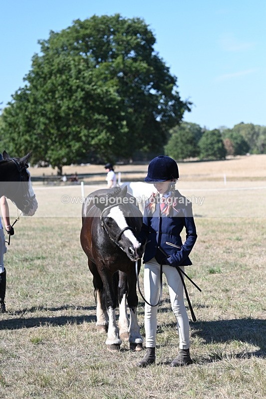 WJ7_1887 - Class 43 Best Six Legs (In hand)