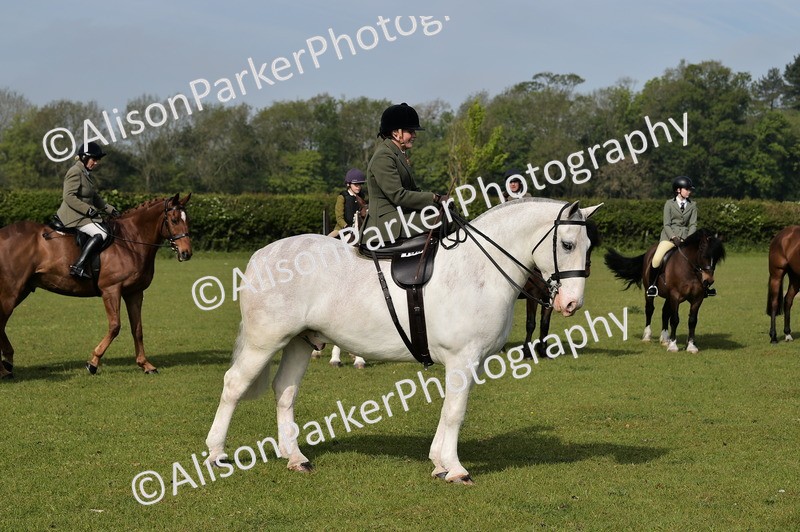 20260426-0887 - Class 18 - Novice Showing