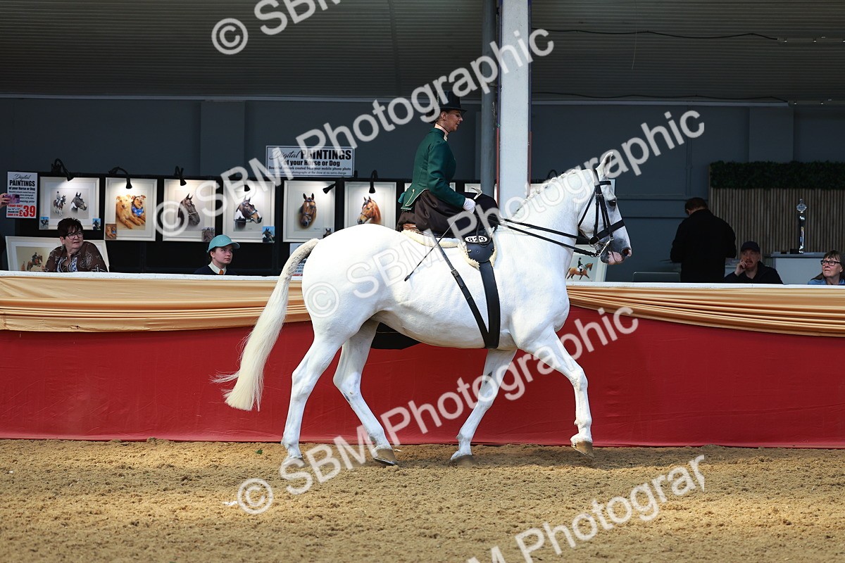 SBM_13865 - Class 106 - Ridden Costume - Side Saddle