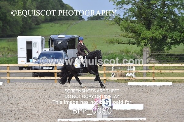 BPP_0080 - SHORT ARENA  MY QUEST PRELIM