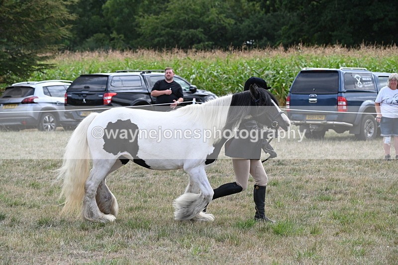 WJ6_6659 - Class 20 In-hand Cob